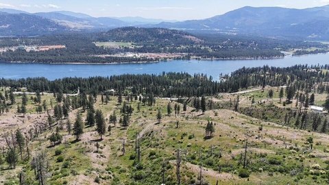 Waterfront Hunting Land