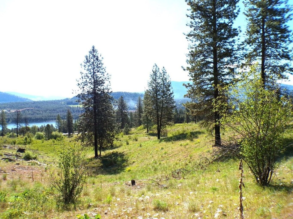 Picture 8