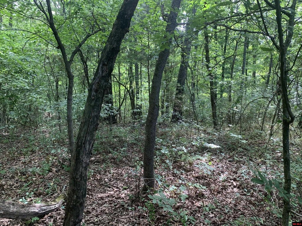 Picture 12