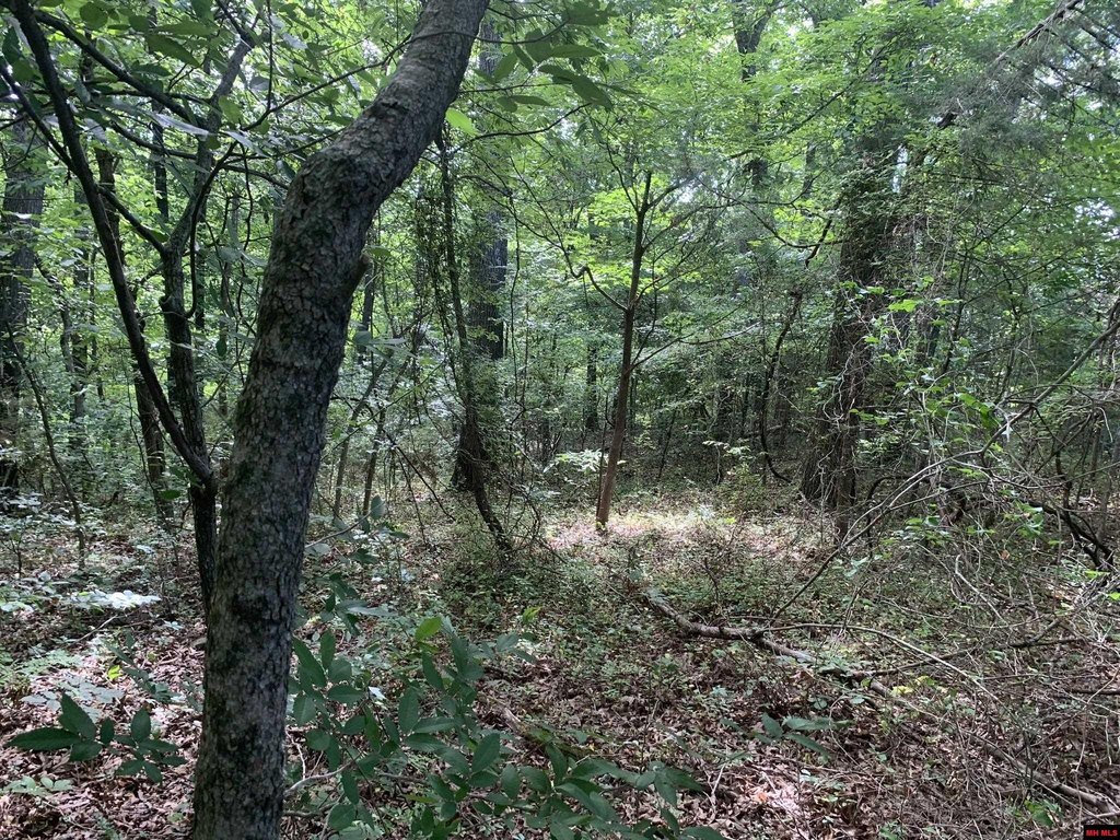Picture 13