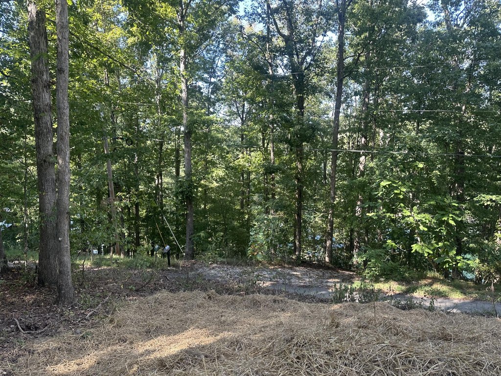 Picture 26