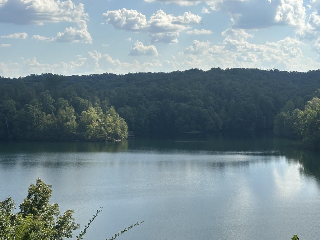Picture 27
