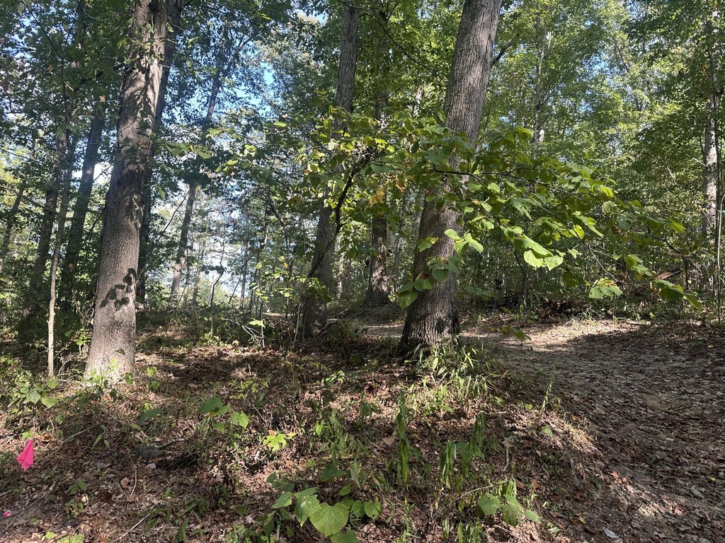 Picture 16