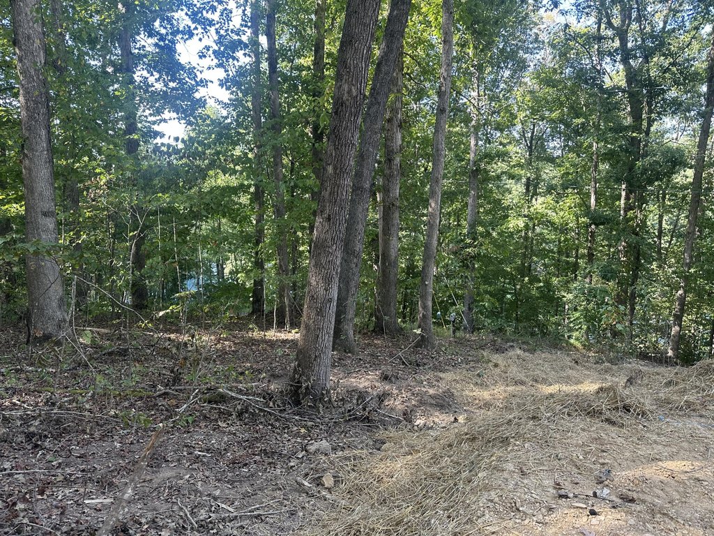 Picture 28