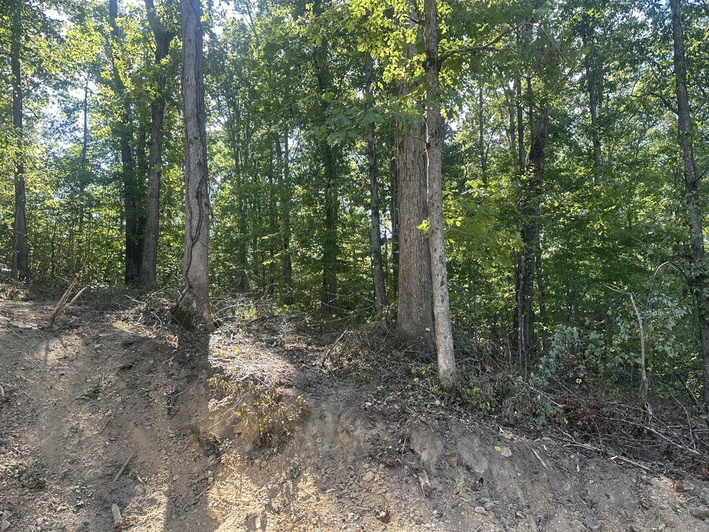 Picture 29
