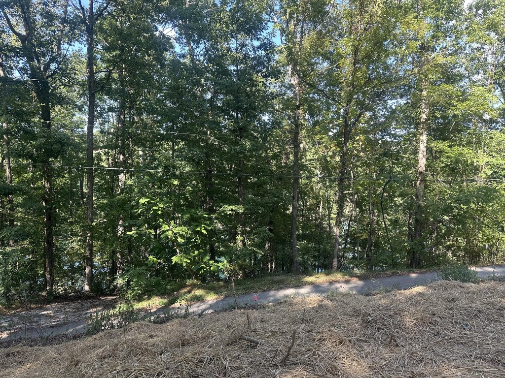 Picture 24