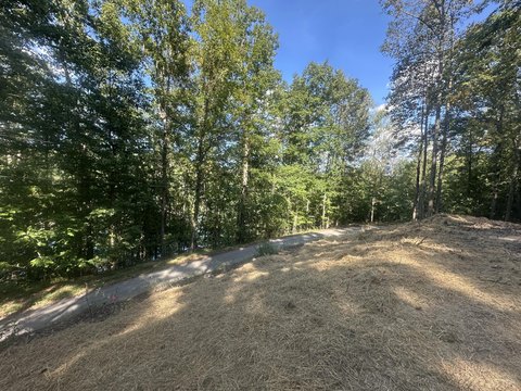Land, East Bernstadt, KY