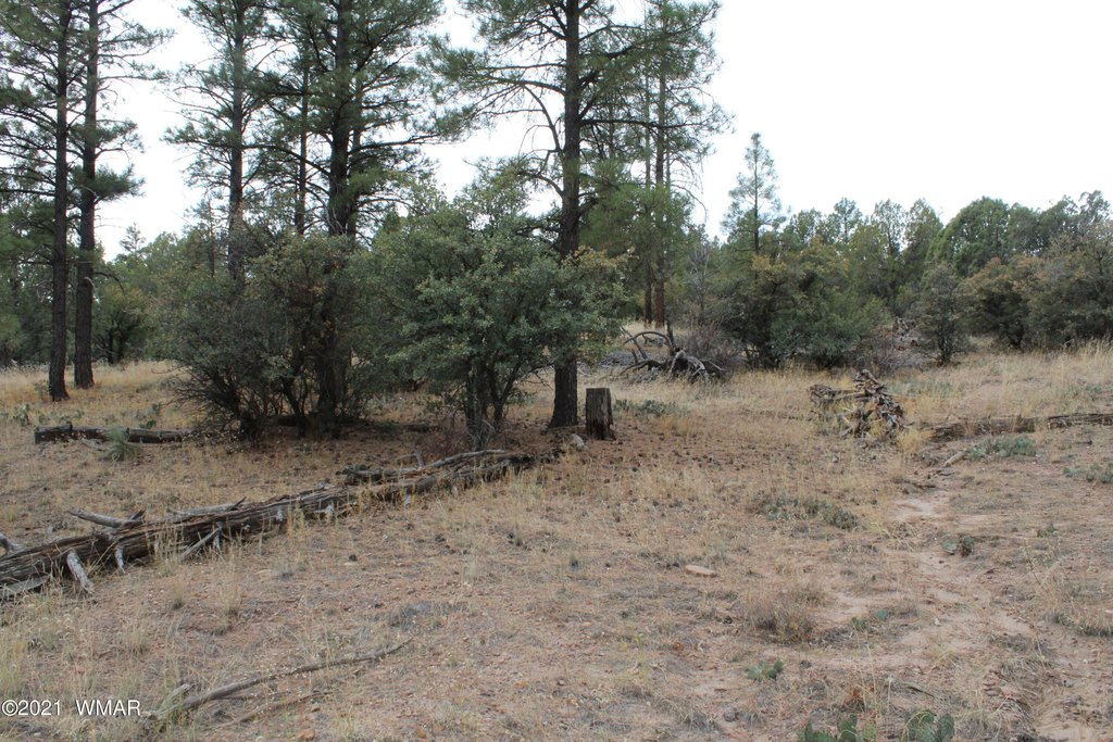 Picture 19