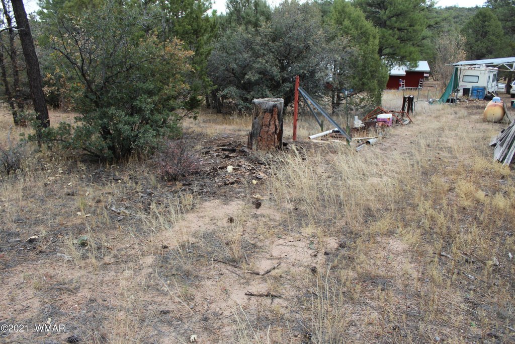 Picture 9