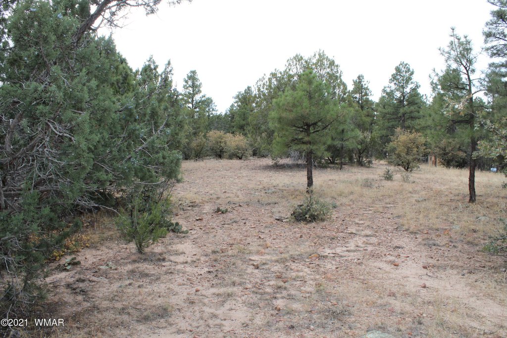 Picture 24