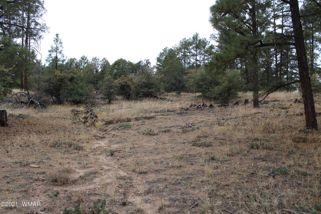 Picture 17