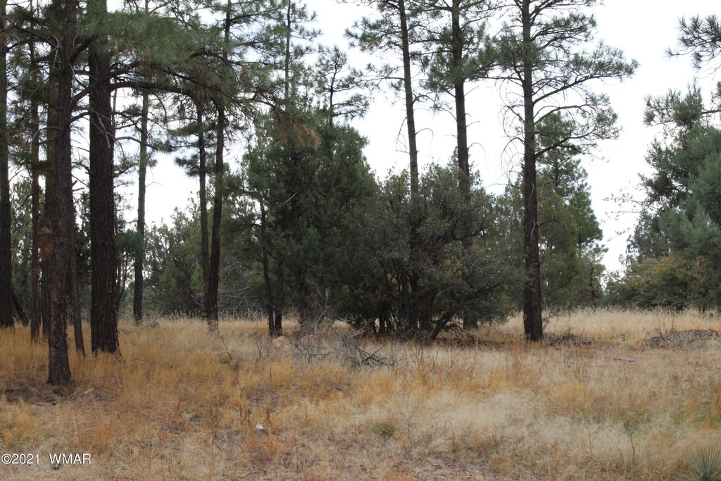 Picture 26