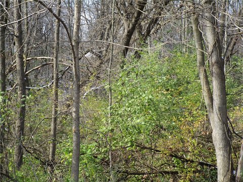 Ladysmith Land Parcel For Sale