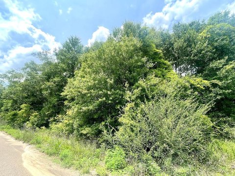 Lots/Land, Poplarville, MS