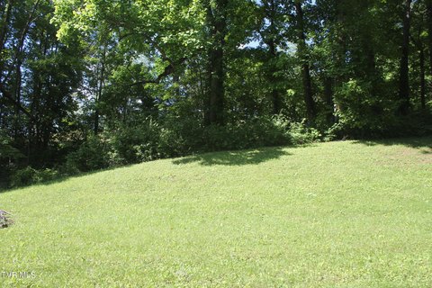 Residential Land in Johnson City