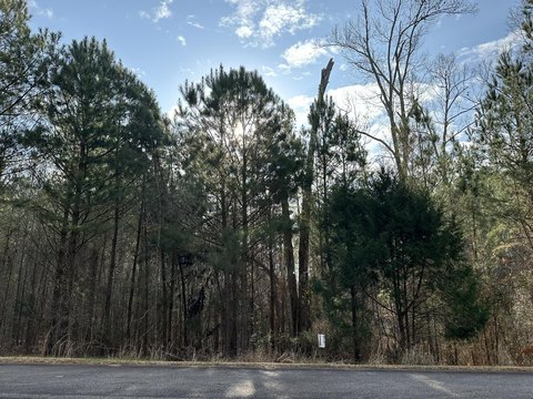 Lakefront Lot in Longleaf Pointe
