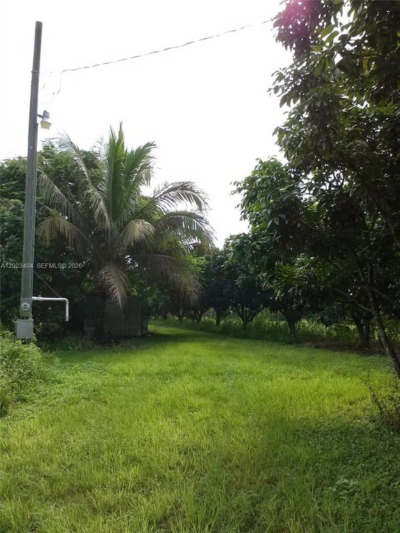 Picture 18