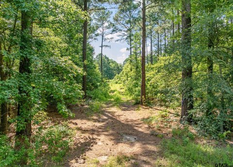 Heavily Wooded Acreage in Gilmer