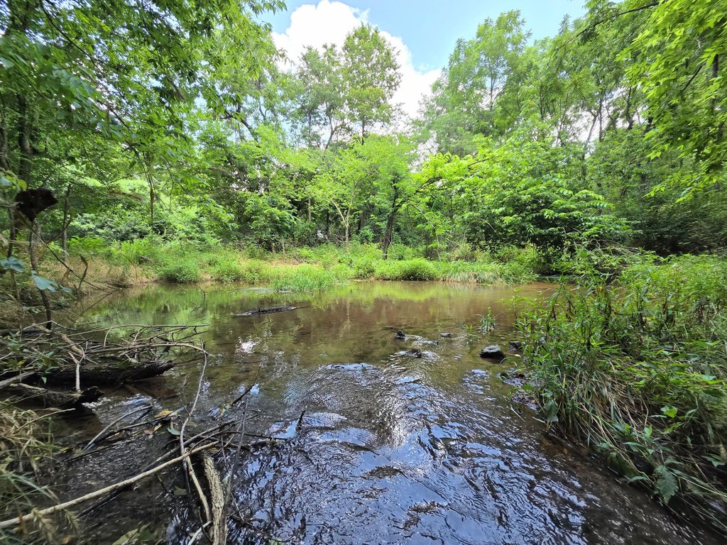Picture 24