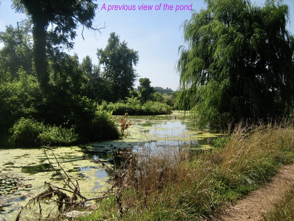 Picture 36