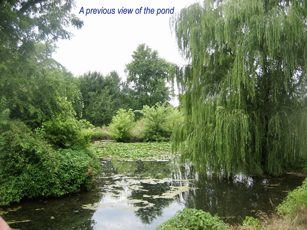Picture 35