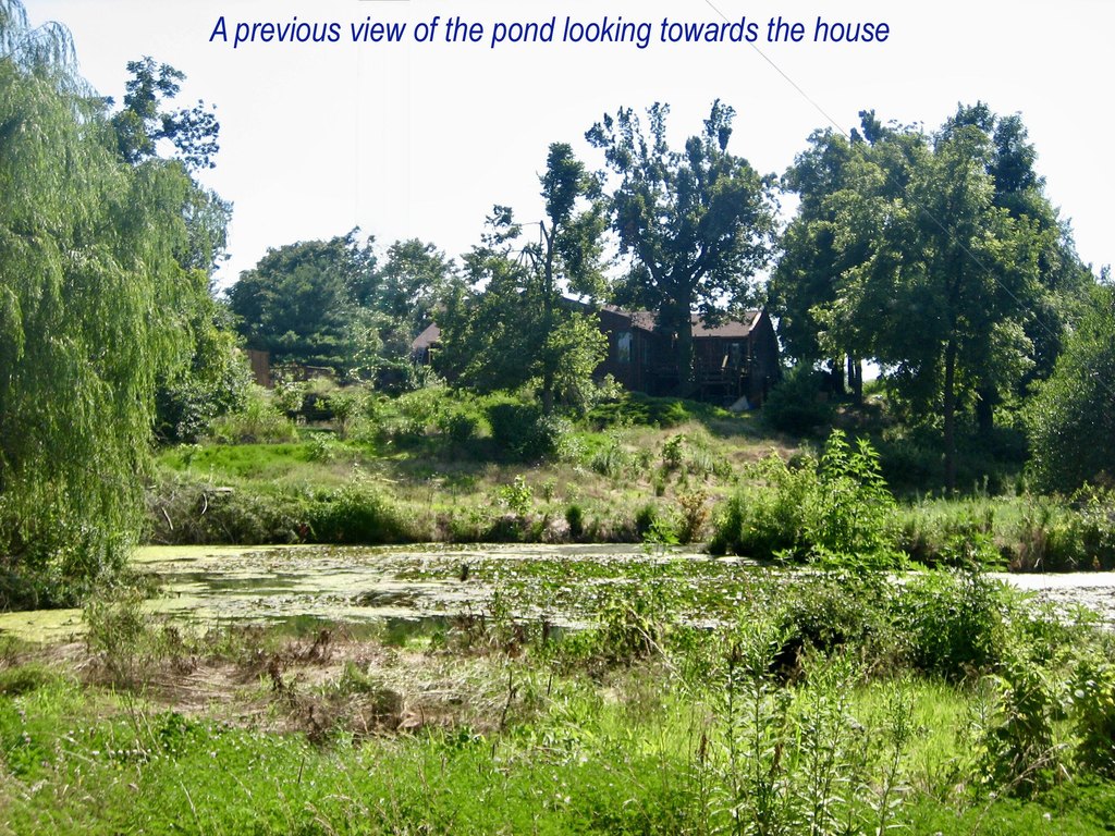 Picture 37
