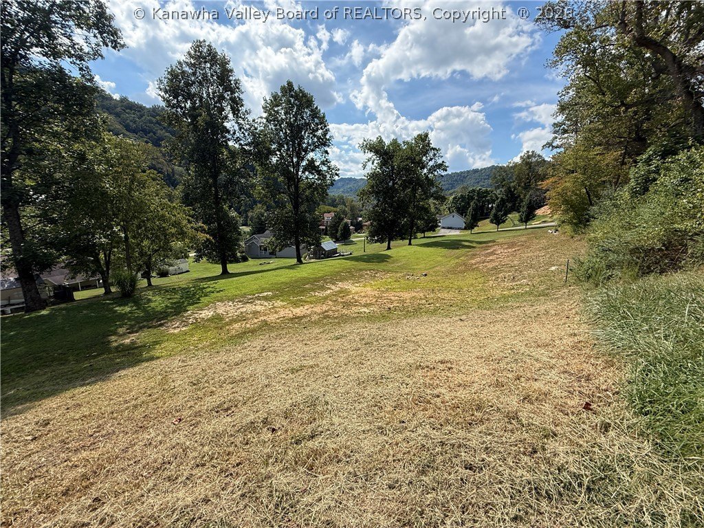 Picture 5