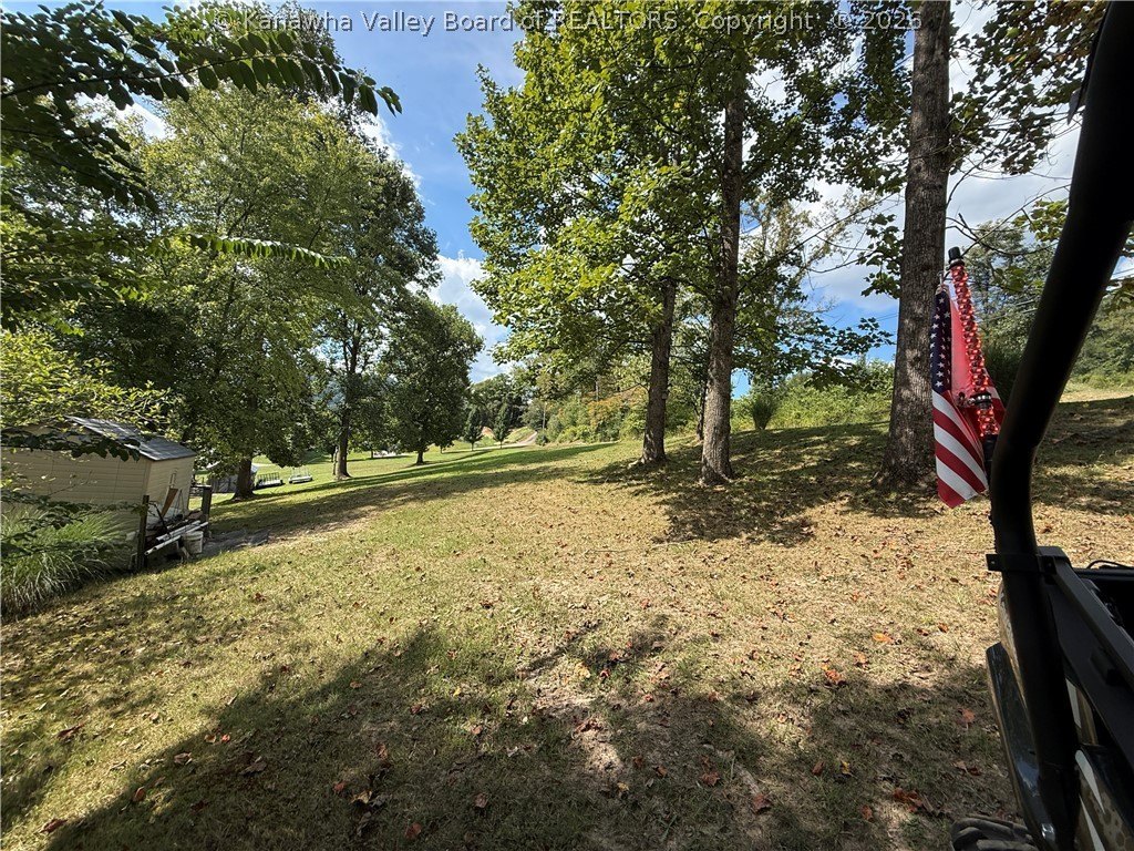Picture 15