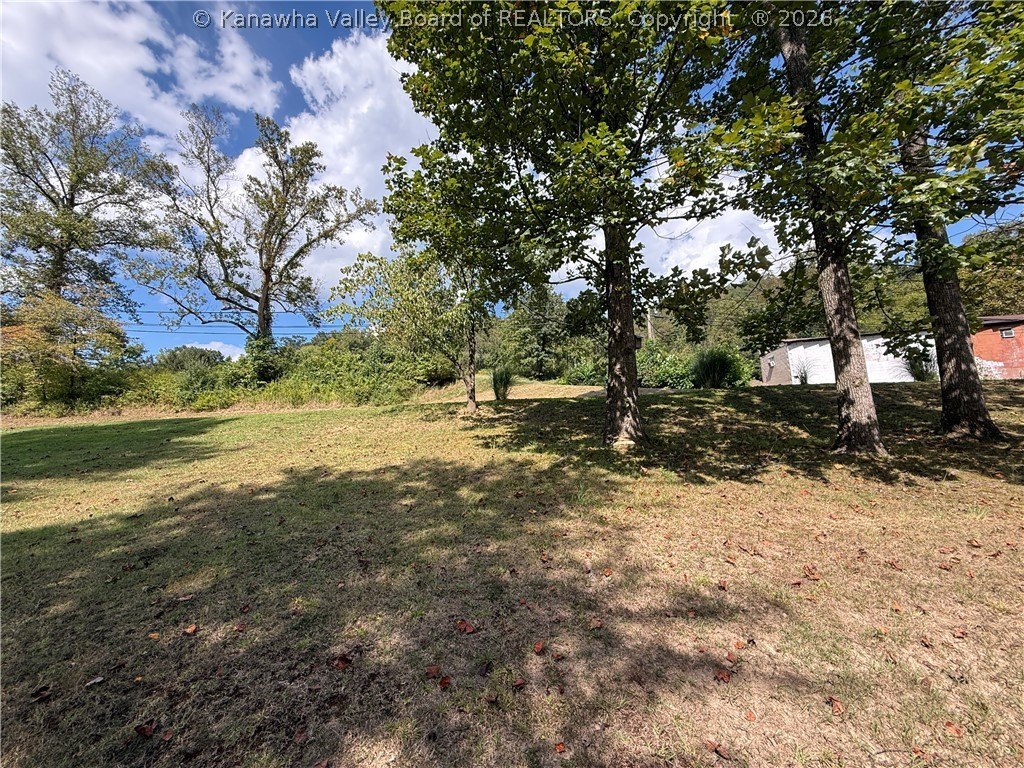 Picture 19