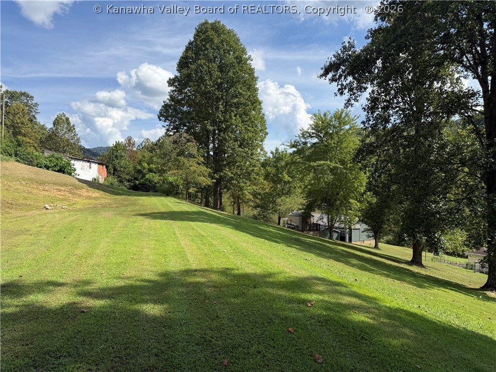 Picture 2