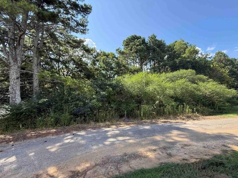 Unrestricted Lot in West Point
