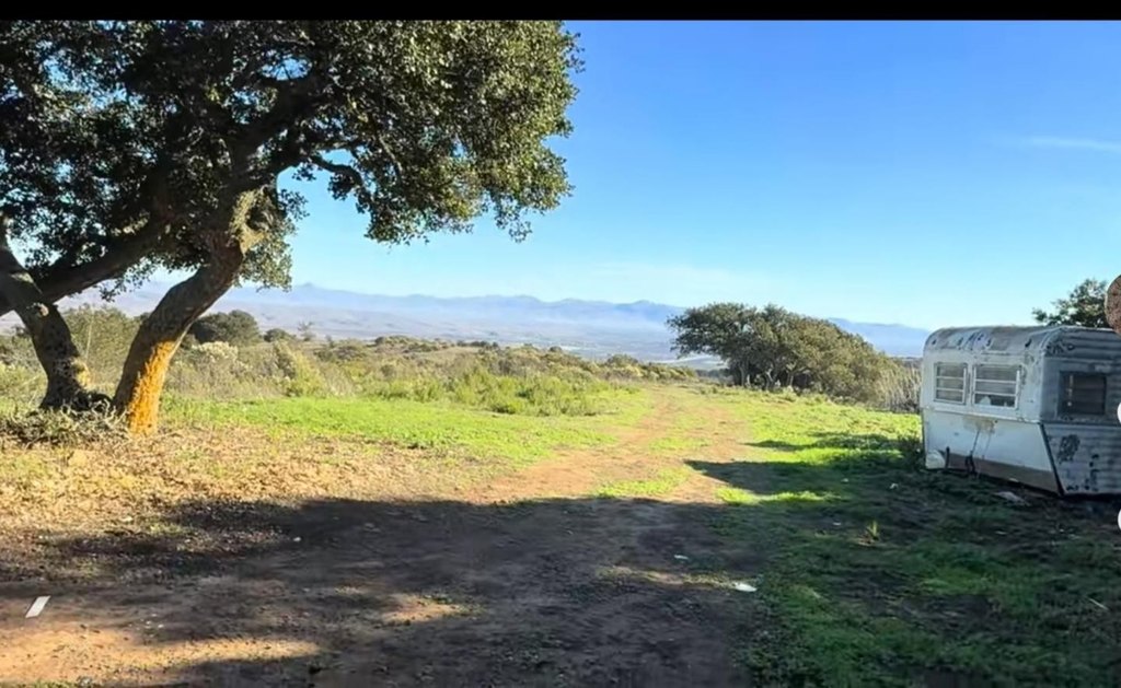 Picture 17