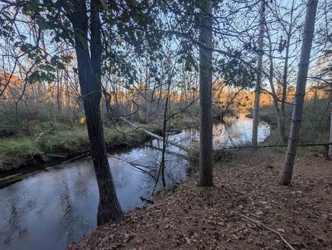Land, PINE RIVER, WI