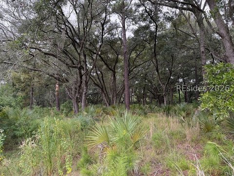 Land/Lots, Daufuskie Island, SC