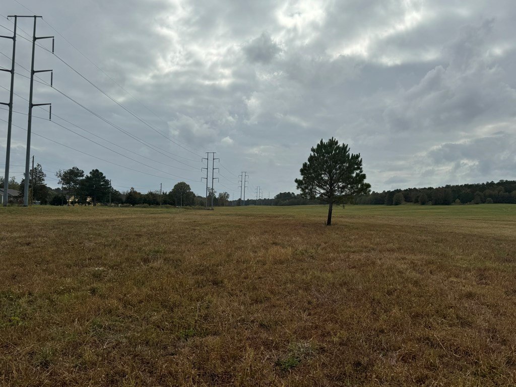 Picture 22