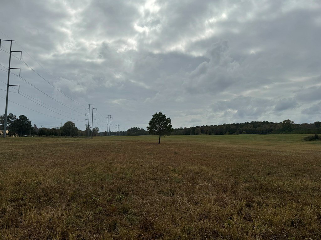 Picture 25