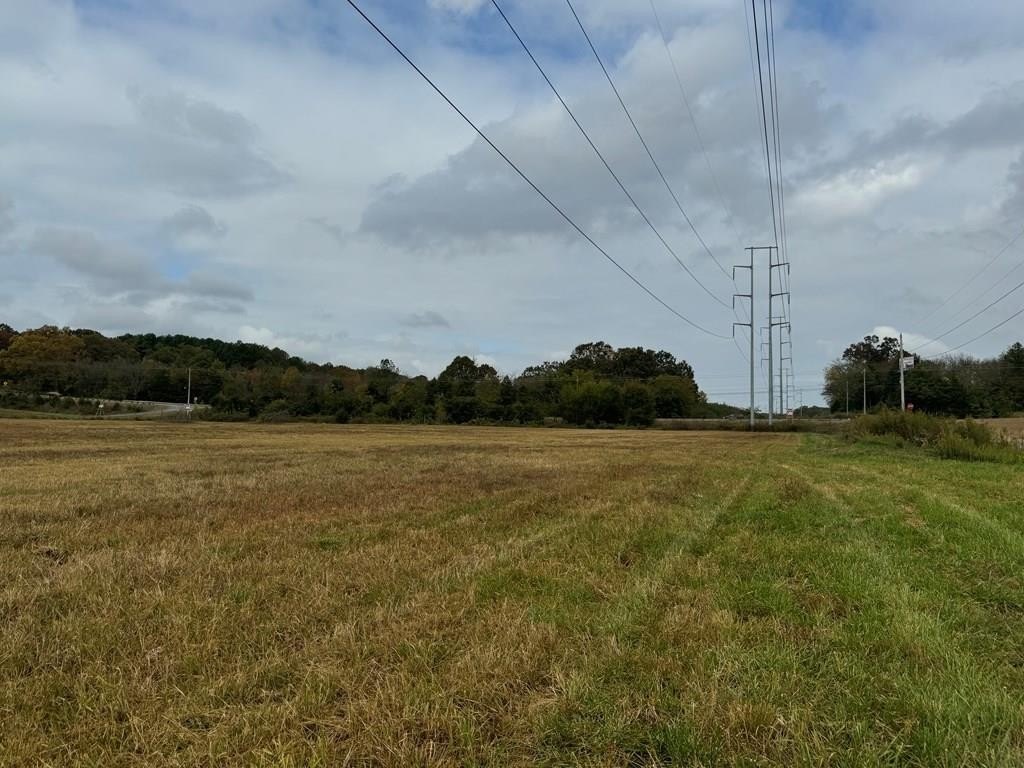 Picture 29