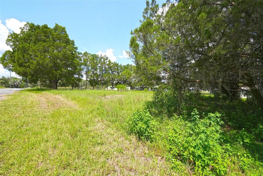 Picture 15