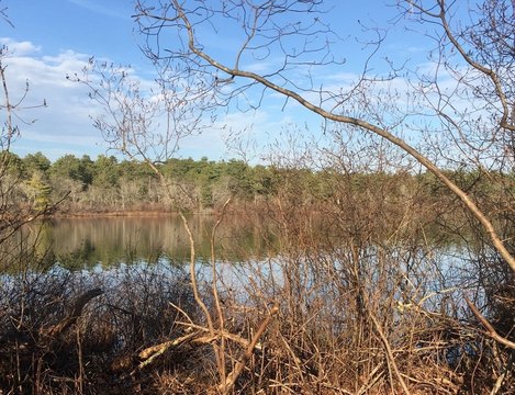 Waterfront Land for Recreational Use