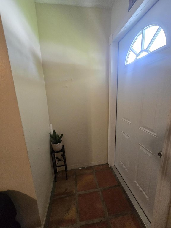 Picture 5