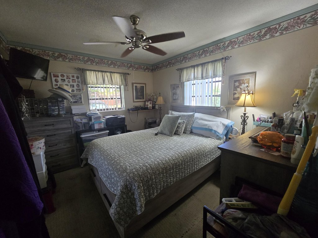 Picture 28