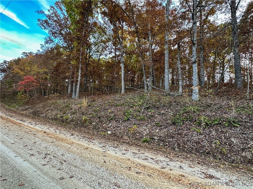 Forbes Lake Acreage for Sale