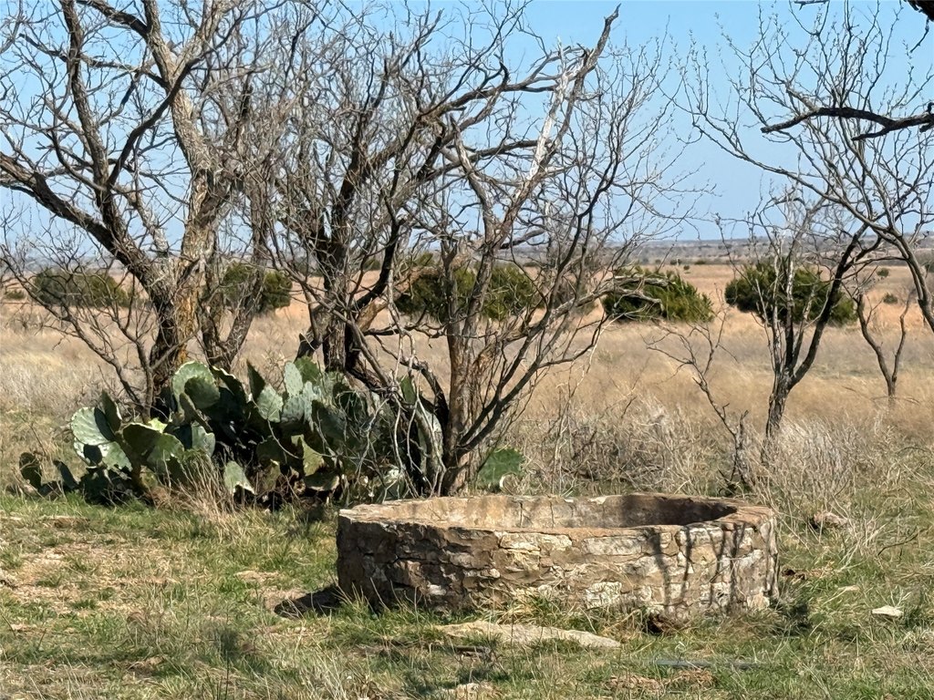Picture 23