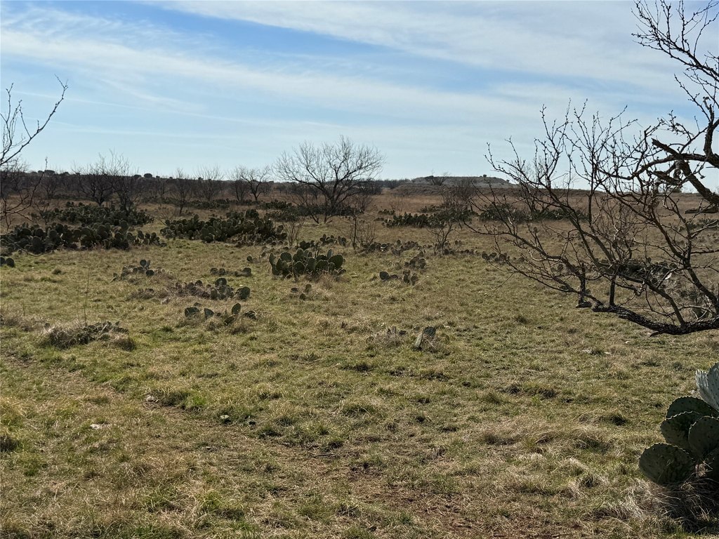 Picture 38