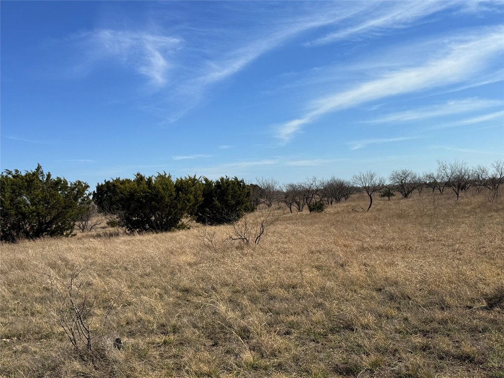 Picture 31