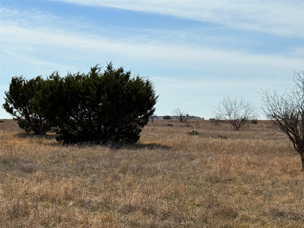 Picture 39