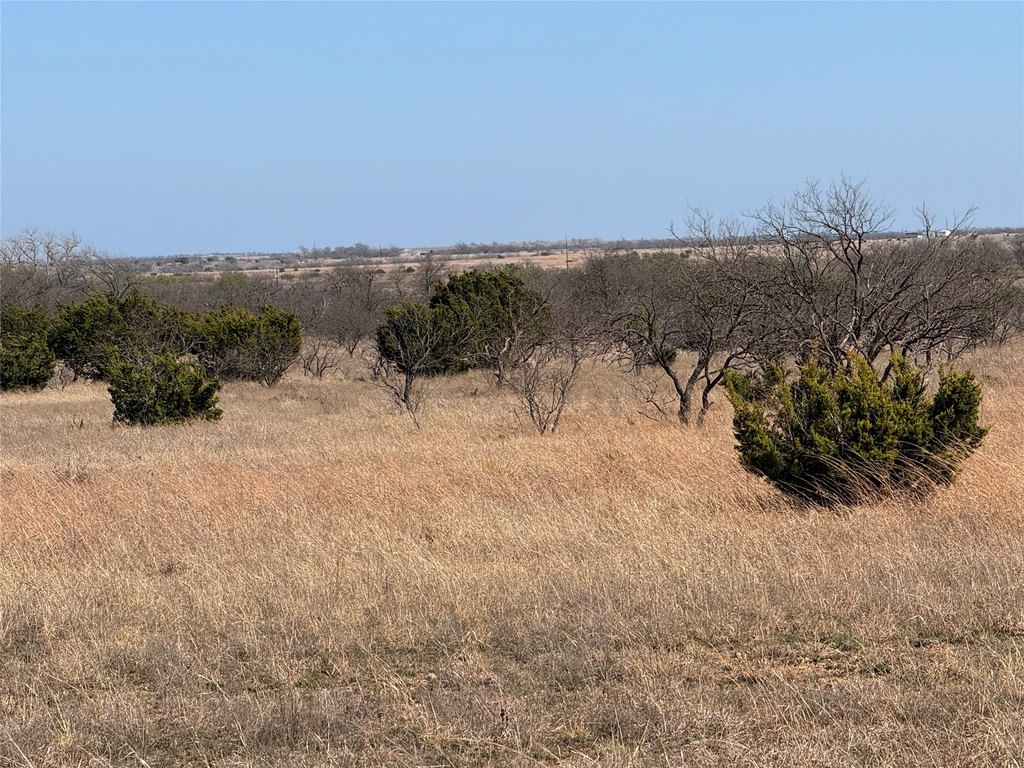 Picture 28