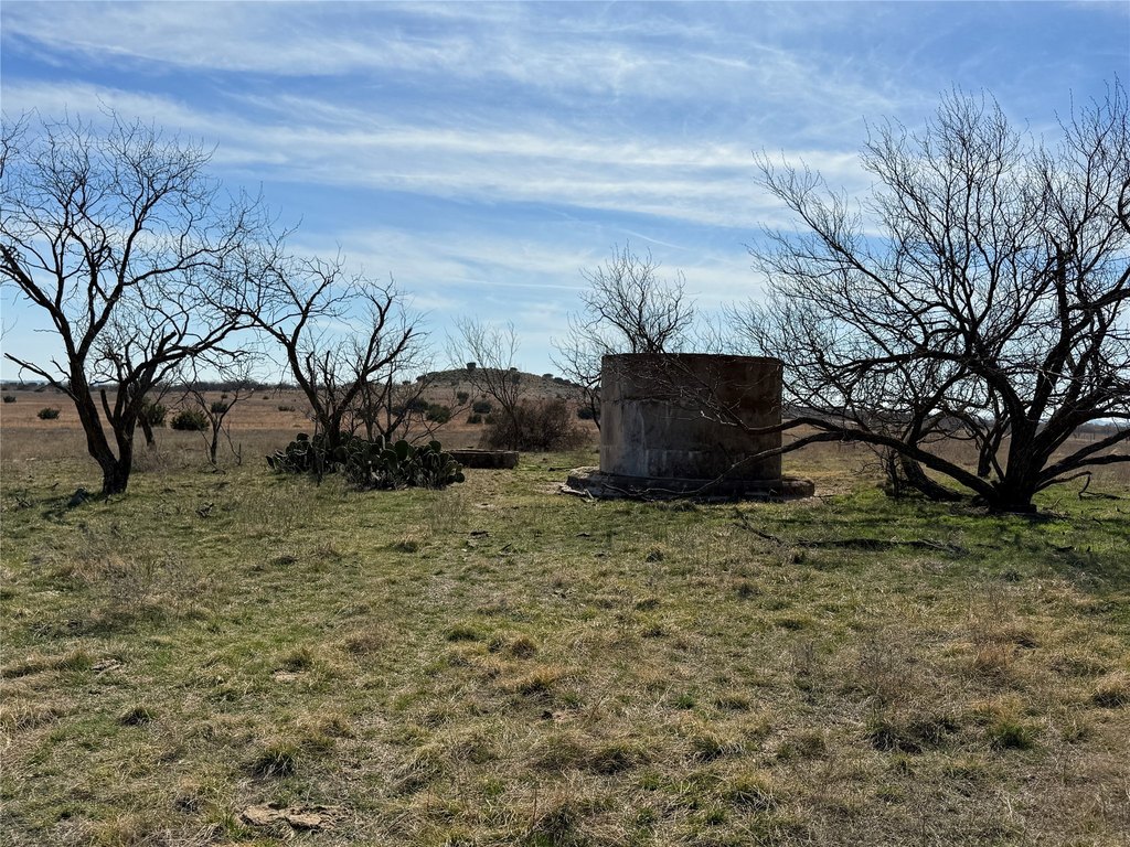 Picture 25