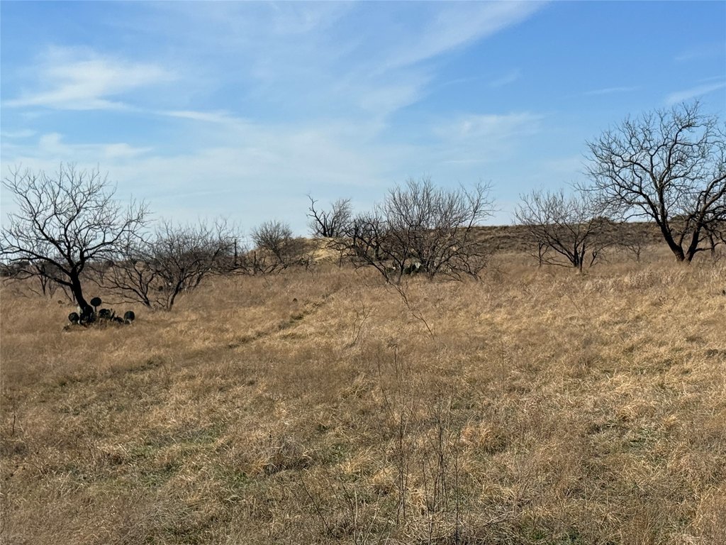 Picture 36