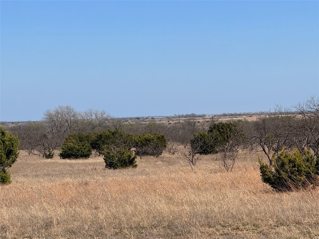 Picture 27